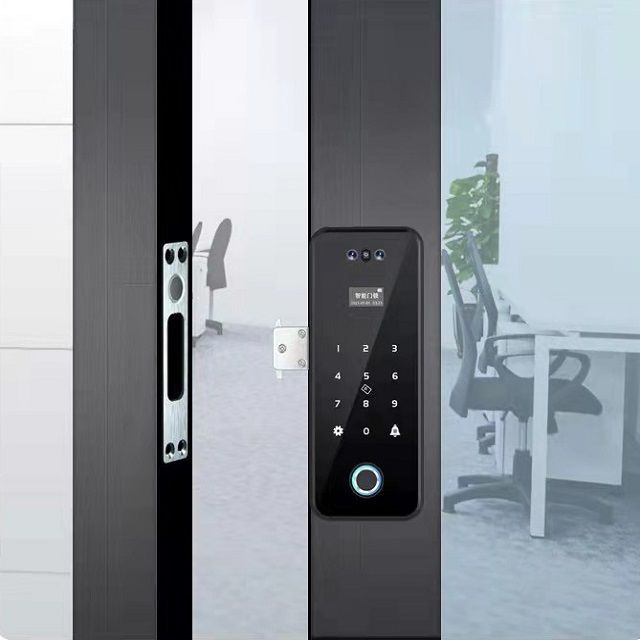Keyless office fingerprint lock facial smart door lock TUYA App WiFi lock