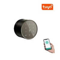 Fingerprint smart room ball lock intelligent office lock with APP