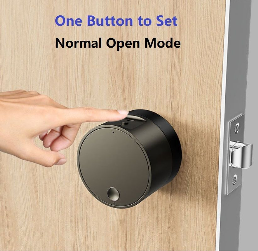 Fingerprint smart room ball lock intelligent office lock with APP