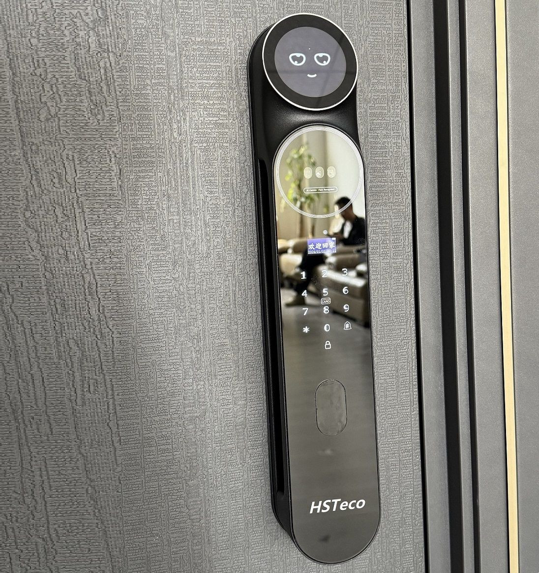 Smart 3D face lock AI face door lock keyless fingerprint door lock