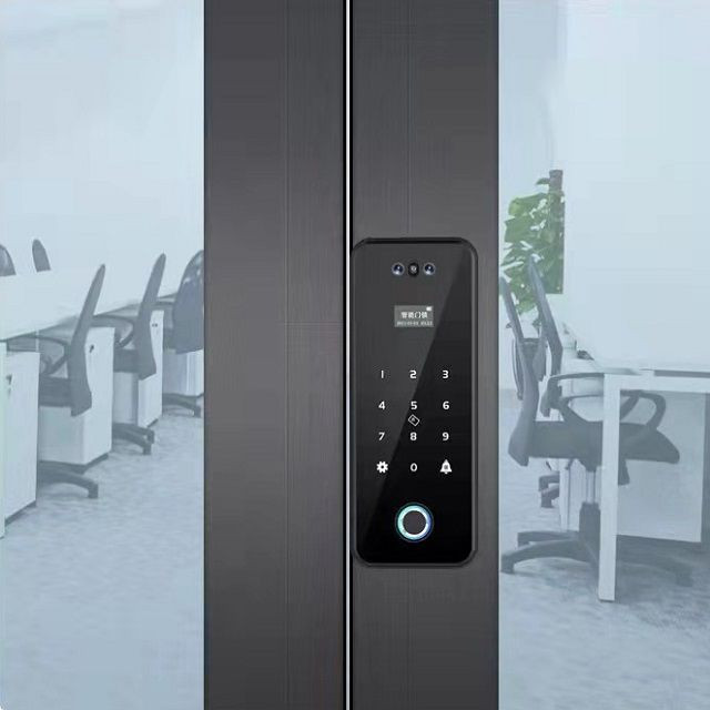 Keyless office fingerprint lock facial smart door lock TUYA App WiFi lock