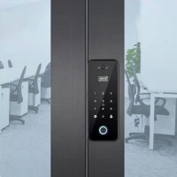 Keyless office fingerprint lock facial smart door lock TUYA App WiFi lock